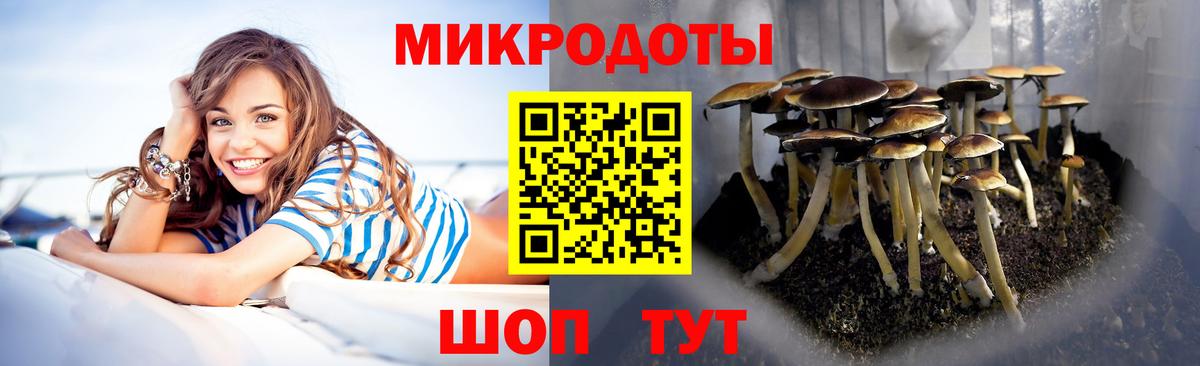 Шали  Псилоцибиновые грибы GOLDEN TEACHER  Вход с VPN 